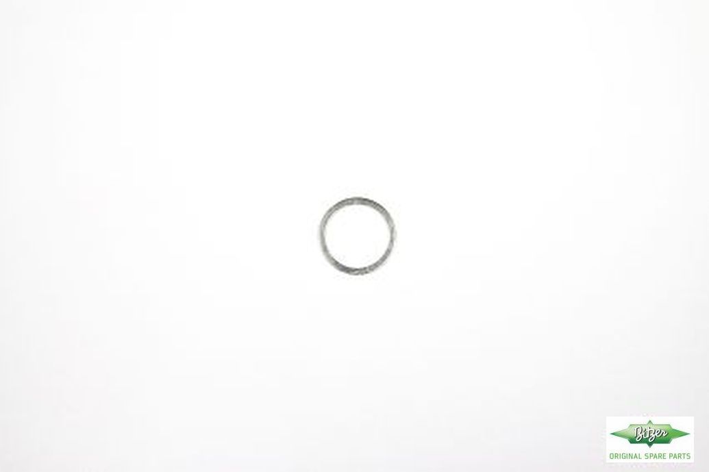 GASKET RING