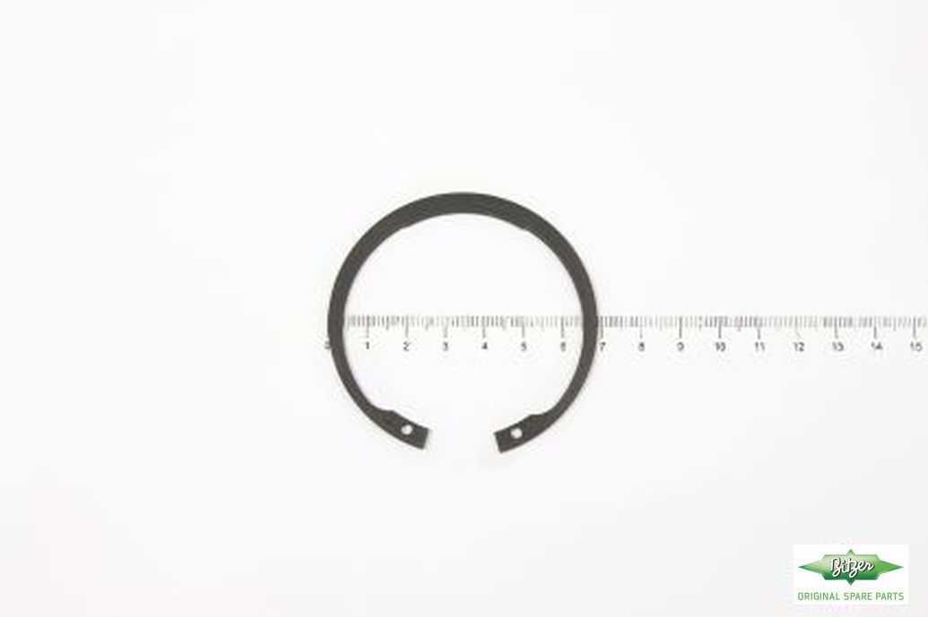 RETAINING RING WITH LUGS