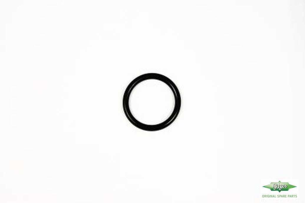 O-RING