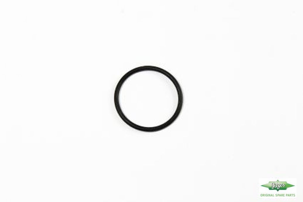 O-RING