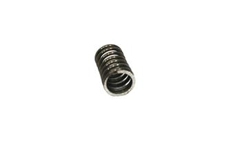 CARRIER SPRING