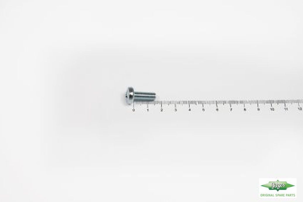OVAL HEAD SCREW