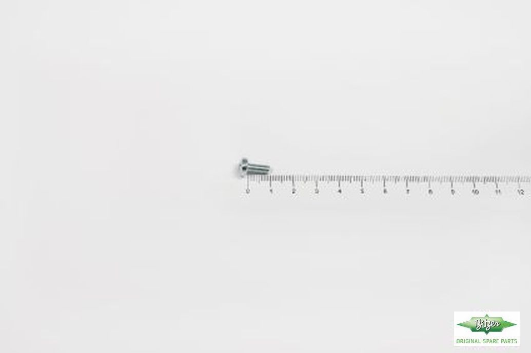 OVAL HEAD SCREW